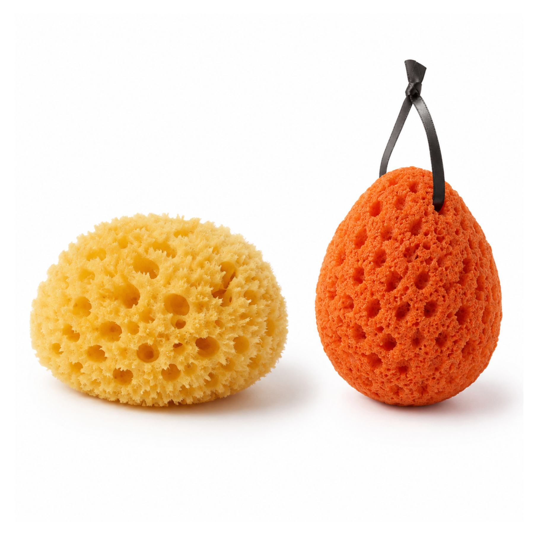 Natural Sea & Konjac Sponge Set